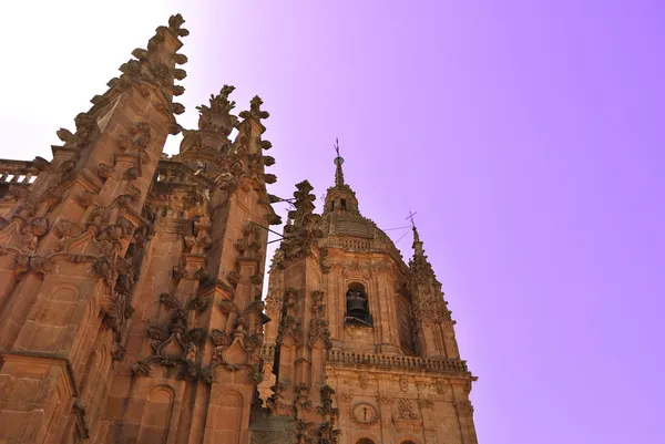 Cathedral of Salamanca — Stock Photo, Image