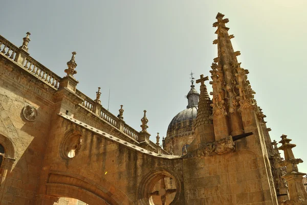 Cathedralof Salamanca — Stock Fotó