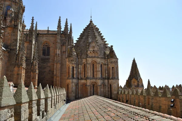 Catedral de Salamanca — Foto de Stock