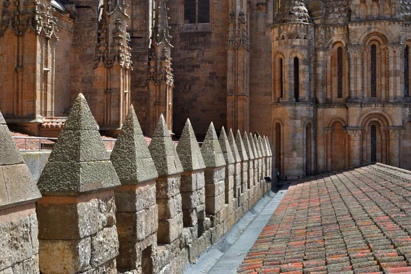 Catedral de Salamanca — Foto de Stock