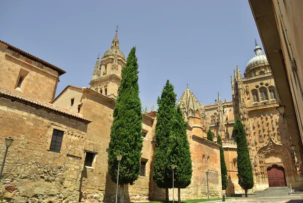 Kathedraal van Salamanca — Stockfoto