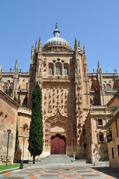 Catedral de Salamanca — Foto de Stock