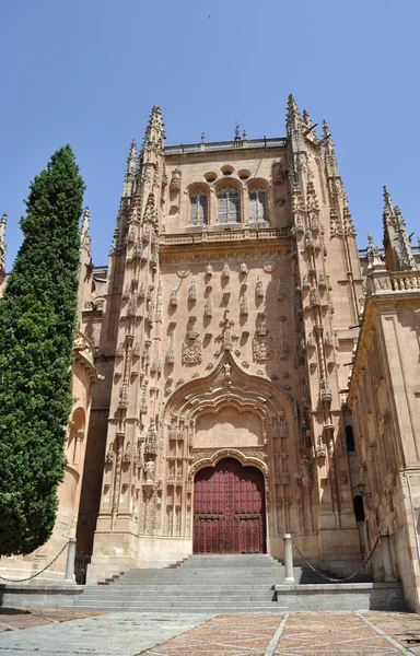 Catedral de Salamanca — Foto de Stock