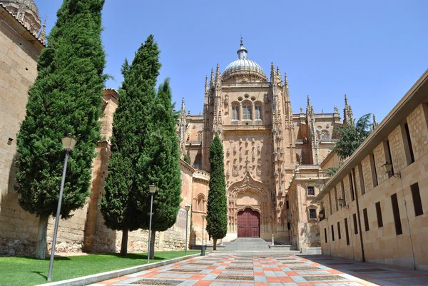 Catedral de Salamanca — Fotografia de Stock