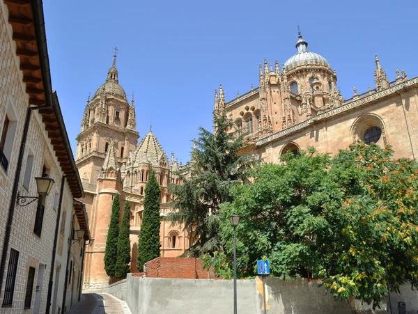 Kathedrale von Salamanca — Stockfoto