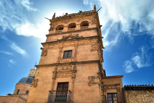 De monterrey Paleis van salamanca — Stockfoto