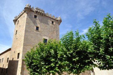 Torreon de los Guzmanes Avila (İspanya içinde)
