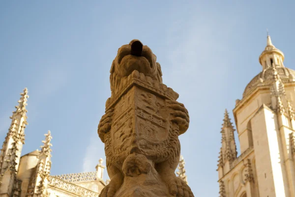 Detail van de kathedraal van Segovia (Spanje) — Stockfoto