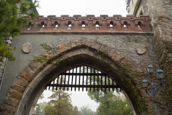 Kasteel Vajdahunyad in Boedapest (Hongarije)) — Stockfoto