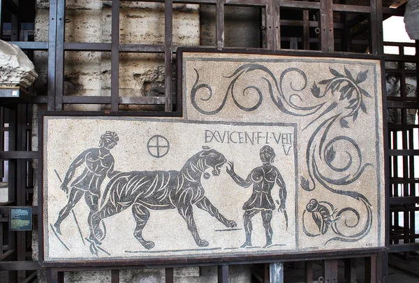 Mosaico en el Coliseo Romano — Foto de Stock