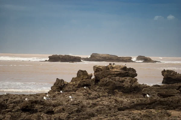 Denizde kayalar — Stok fotoğraf
