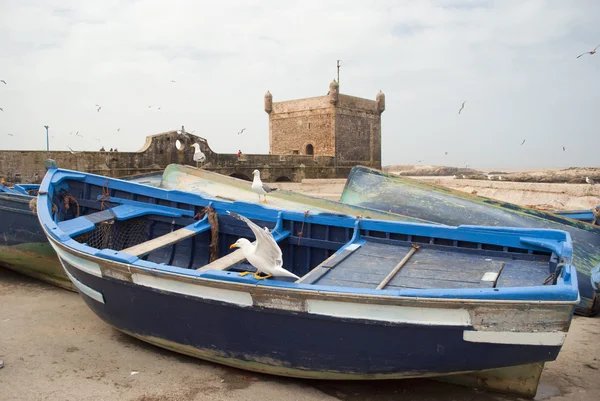 Forttress in Essaouira — Stock Photo, Image