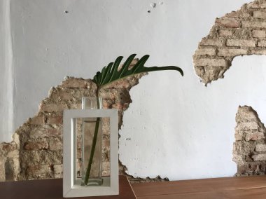 Masanın üzerinde yeşil bir yaprak var. İçinde eski tuğlalar olan beyaz, antika bir duvar var.