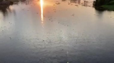 Büyük bir balık ağı, yeşil ağaç çalısı ve videonun sonunda yelkenli teknesiyle büyük nehirde altın gün doğumunun eğik hareketi.