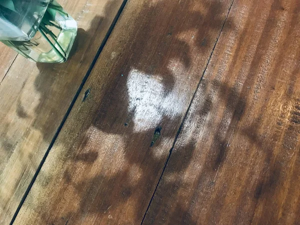 green leaf stalk in a glass vase with water and its shadow on a wooden natural brown table