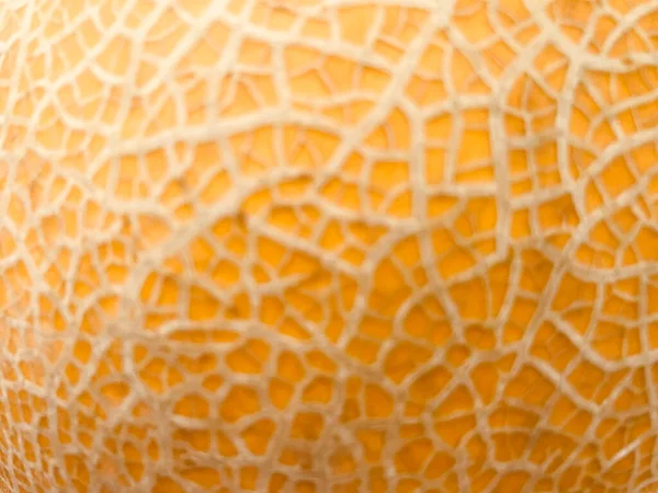 defocused blur close-up of riped gold melon's skin in natural daylight, using for the background