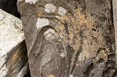 Kum taşı katmanlı yıpranmış ve çeşitli kertenkelelerle kaplanmış.