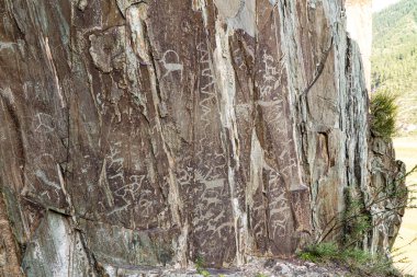 Korunmuş kaya resimleri, Altai dağlarındaki petroglifler vahşi hayvanları, Tunç Çağı 'ndaki ya da İskitler dönemindeki avlanma sahnelerini tasvir eder. Özgürce yollarda bulundu ve yazarlar binlerce yıl önce öldü.