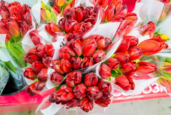Bouquets of red tulips in the store have withered and no one needs