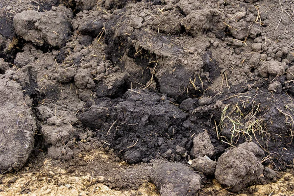Glinę Wylewano Stosy Czarnej Gleby Lub Czarnej Gleby Układania Trawników — Zdjęcie stockowe