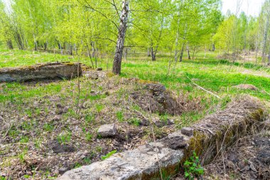 Orman ve çimlerle kaplanmış eski bir yapının kalıntıları. Terk edilmiş ve yıkılmış bir yapının kalıntıları. Seçici bir odak noktası.
