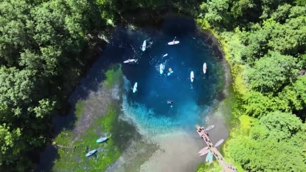 Sup surfing na jeziorze w ekologicznie czystym regionie. Pływanie, nurkowanie i wiosła — Wideo stockowe