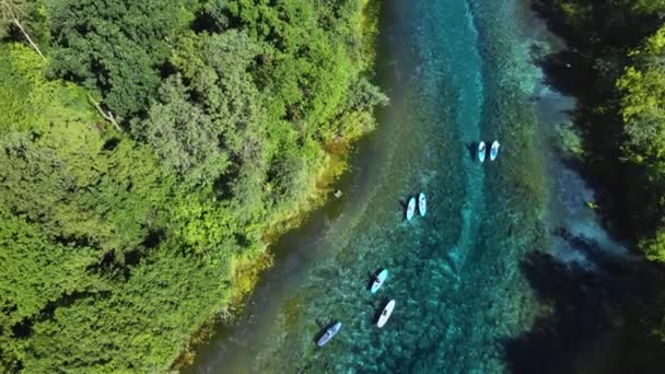 Luftaufnahme Einer Gruppe Junger Leute Badeanzügen Auf Paddeln Rudern Blauen — Stockvideo