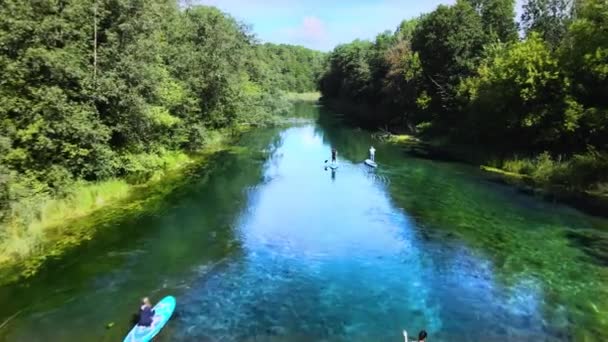 パドルボード上の4人が森の川に沿って浮かんでいます 水面にはパドリングから円が広がっている 晴れた夏の日にアクティブな家族の休暇 ゆったりと滑らかな水の上を散歩 ドローン映像 — ストック動画