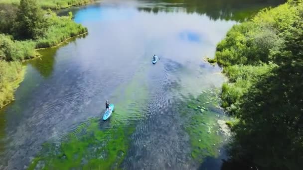 El hombre está arrodillado sobre una tabla de remo. La mujer está remando activamente. Deportes acuáticos en el río — Vídeos de Stock