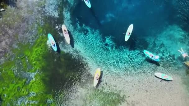 Vista Superior Destino Férias Popular Supboarders Remar Lentamente Homem Nada — Vídeo de Stock