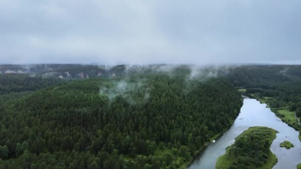 Мистический Туман Поднимается Над Тайгой Бесконечный Хвойный Лес Окружает Быструю — стоковое видео