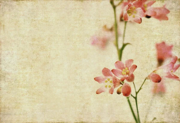 Γήινα floral φόντο και σχεδιασμός στοιχείο — Φωτογραφία Αρχείου