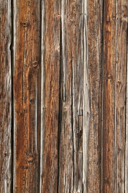 ahşap arka plan ve tasarım öğesi