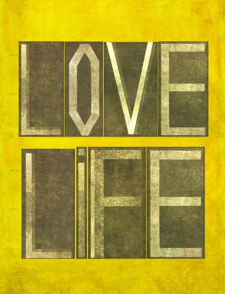 Immagine di sfondo terroso ed elemento di design raffigurante le parole "Love Life " — Foto Stock