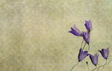 Earthy floral background