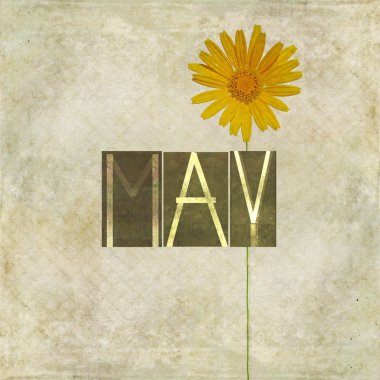 Mayıs ayı için Word