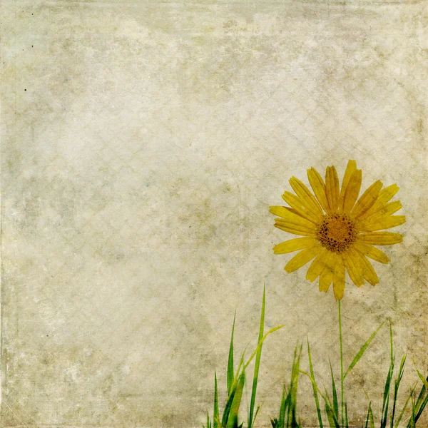 Aardse bloemen achtergrondafbeelding — Stockfoto