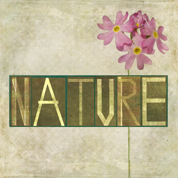 Elemento de diseño que representa la palabra "Naturaleza" " — Foto de Stock