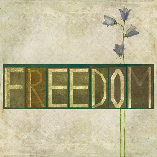 设计元素描绘"自由一词" — 图库照片
