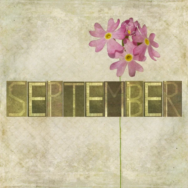 Element projektu przedstawiające słowo dla miesiąca września — Zdjęcie stockowe