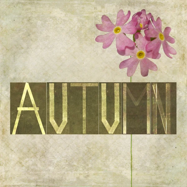 Design element depicting the word "Autumn" — Stock Photo, Image