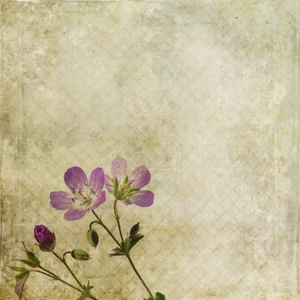 Earthy floral background — Stockfoto