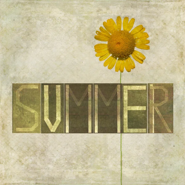Parola "estate" e fiore — Foto Stock