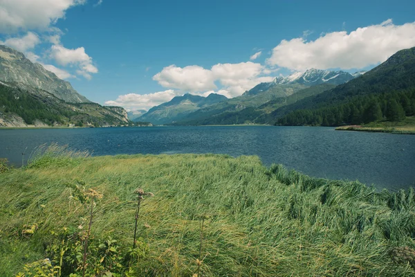 Vallei van engadin, Zwitserland — Stockfoto