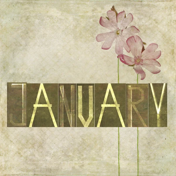 Word for the month of January — Stock Photo, Image