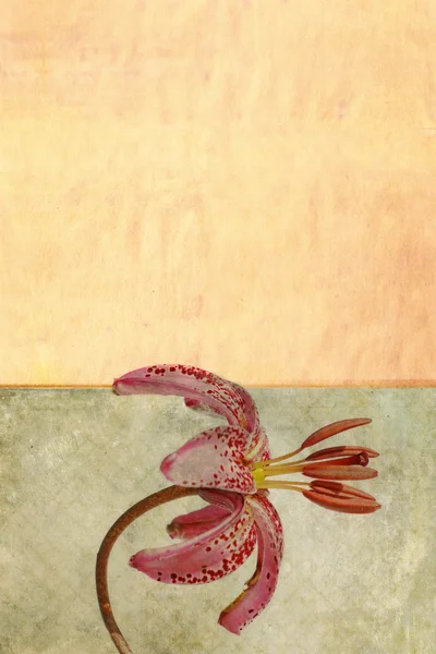 Teksturowanej tło kwiatowy — Zdjęcie stockowe