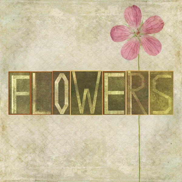 Wort "Blumen"" — Stockfoto