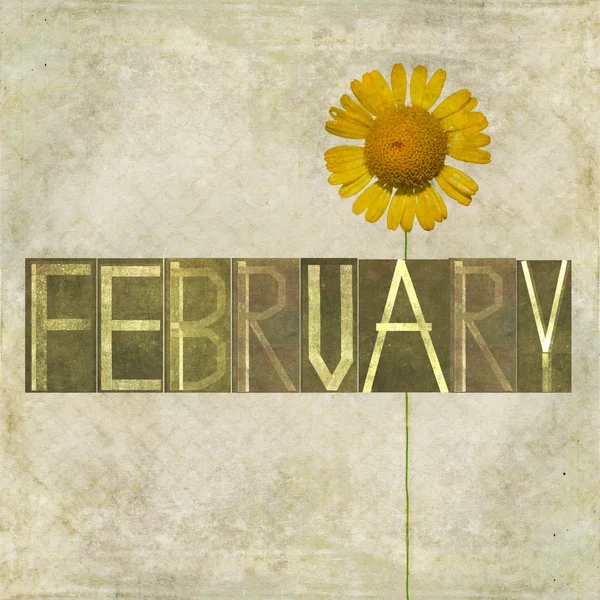 Palabra para el mes de febrero — Foto de Stock