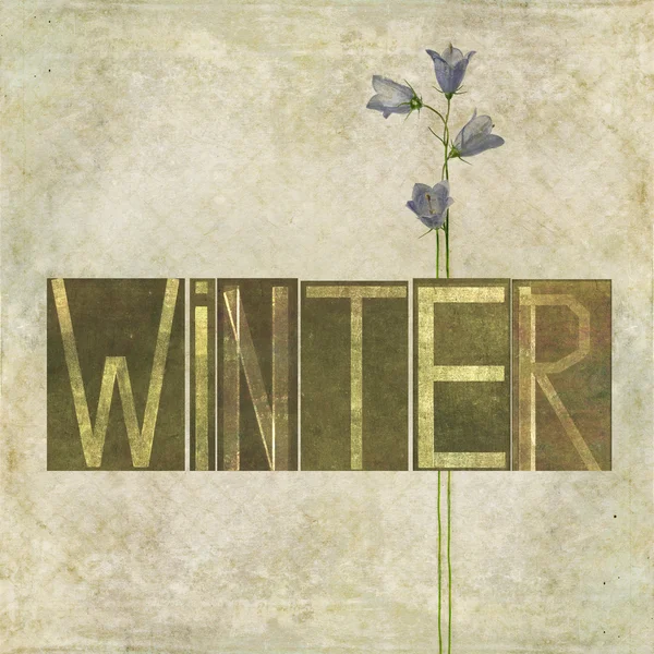 Palavra "Inverno " — Fotografia de Stock