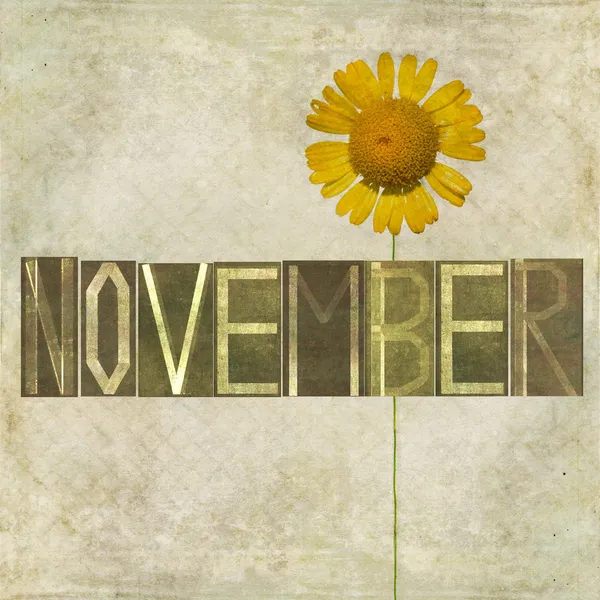 Ordet för november månad — Stockfoto